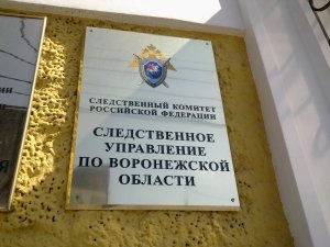 Председатель СК России запросил доклад о ходе проверки обстоятельств ДТП с участием общественного транспорта в Воронежской области, в результате которого пострадал ребенок